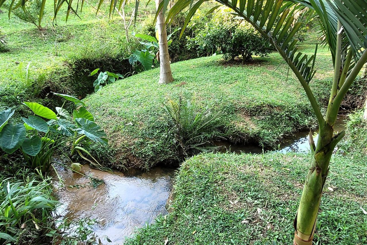 Recanto Dos Sabias - Chales Sao Bonifacio Sc Exterior photo