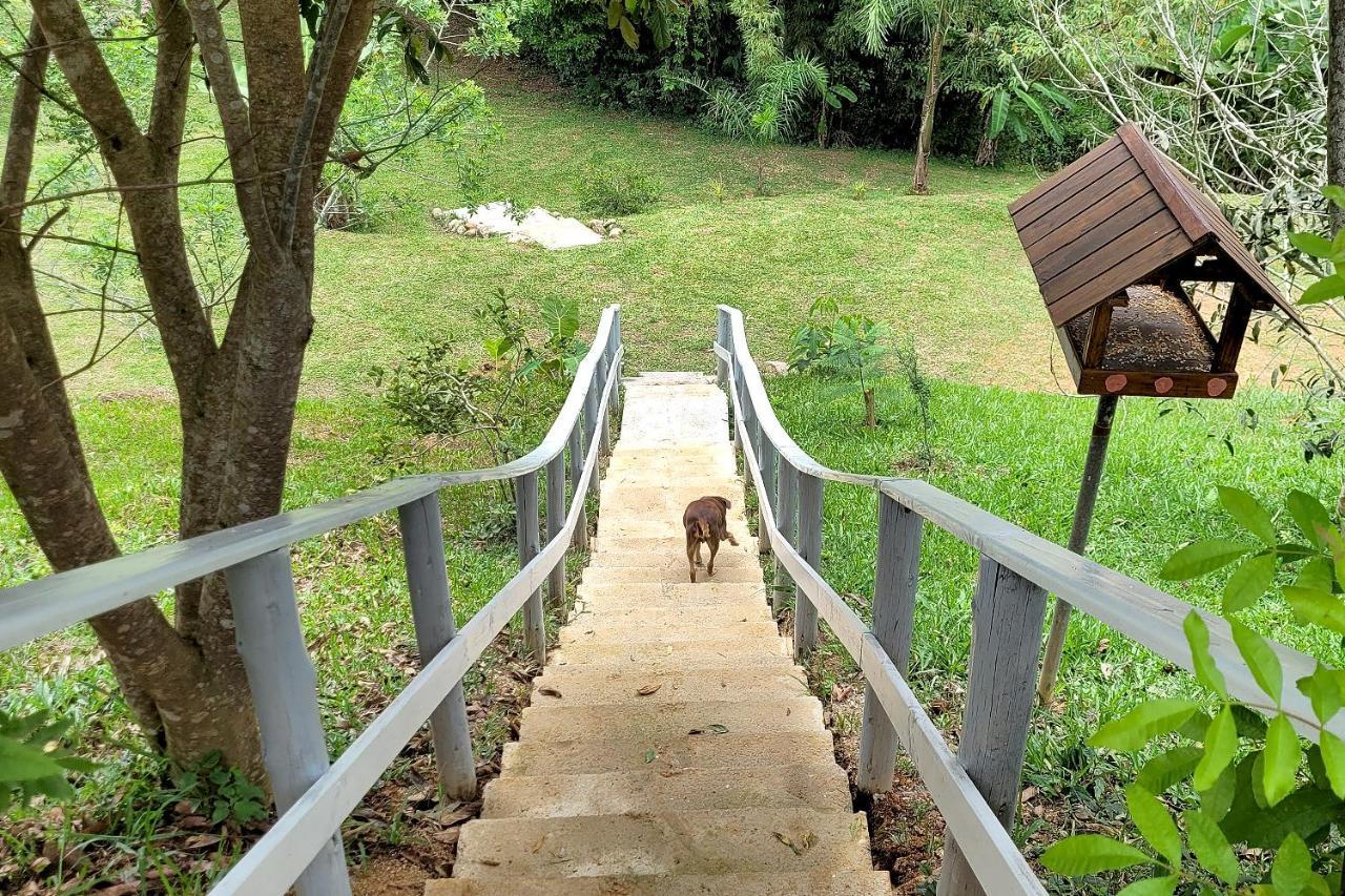 Recanto Dos Sabias - Chales Sao Bonifacio Sc Exterior photo